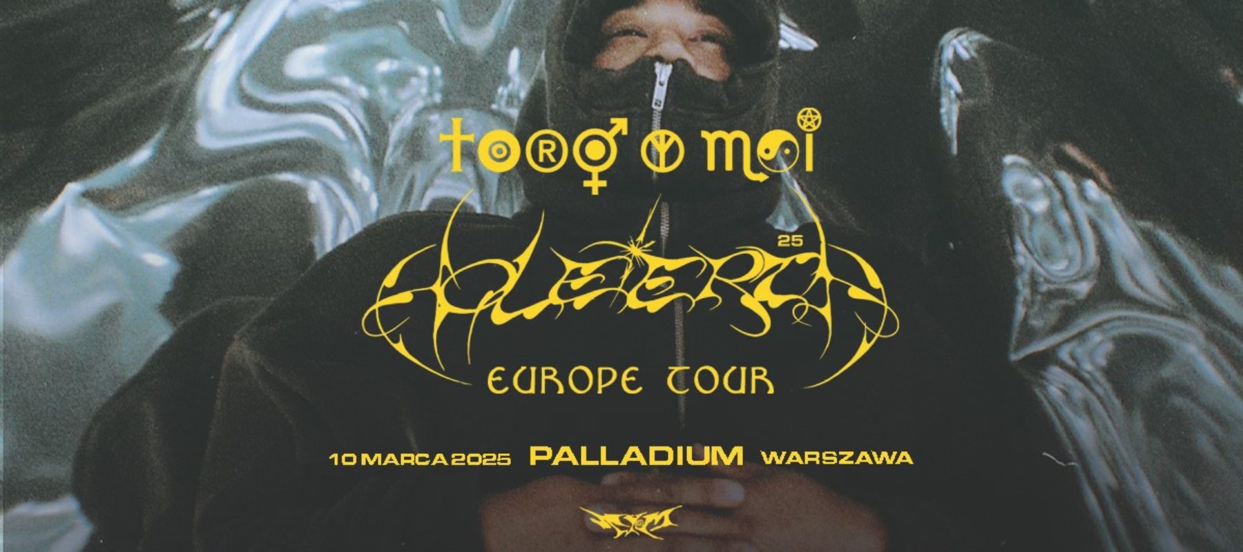 TORO Y MOI TORO Y MOI